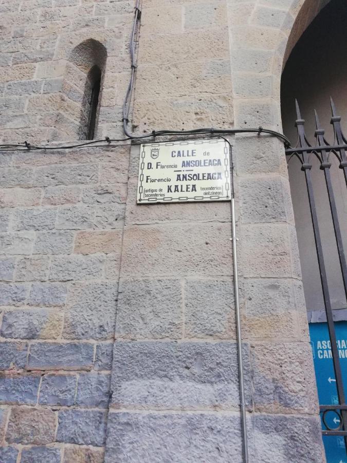 Calle Ansoleaga A 100 Mts Del Ayuntamiento Pamplona Exteriör bild